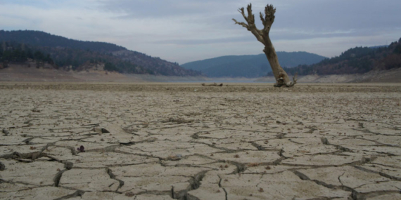 Kuraklık Tehdit Ediyor