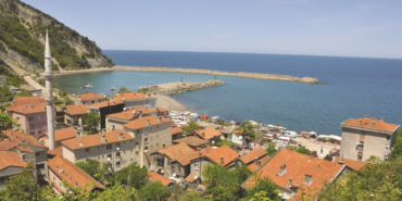 389826466