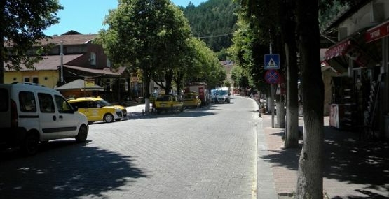 Ihlamur hasadı başladı