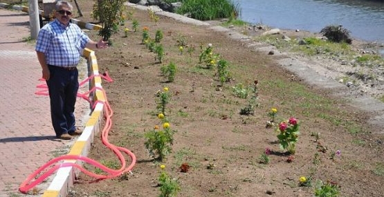 Doğanyurt yeşilleniyor