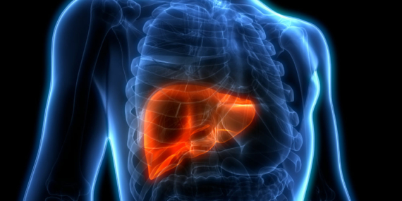 Karaciğer Yağlanmasında Beslenme