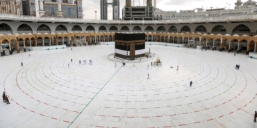 135983083