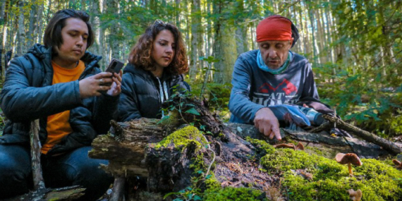 Azdavay’da “Tabiat Kampı Projesi”