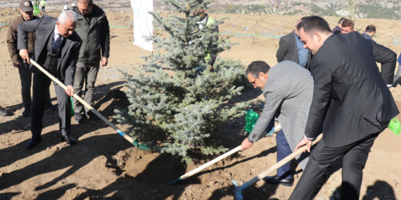 300 Bin Ağaç Dikildi