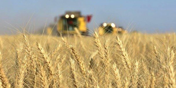 Çiftçilere Eğitim Verildi