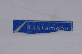 480235191