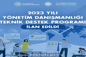 204883831