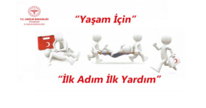 98055596