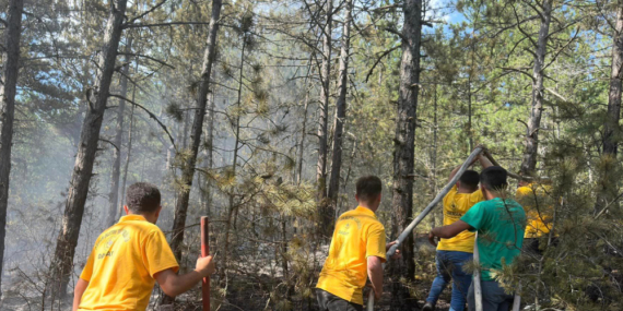 5 Bin Metrekarelik Alan Zarar Gördü