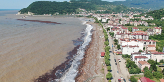 Karadeniz Sahili, Çamurla Kaplandı