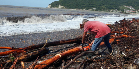 Selin Getirdiği Odun Parçalarını Kış İçin Topladılar