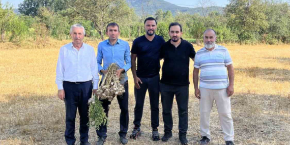 Alişan, Kastamonu’da Siyez Buğdayını Tanıttı