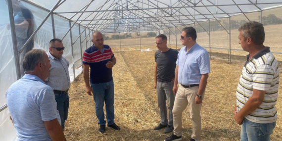 Hibeli Seralar Kuruldu