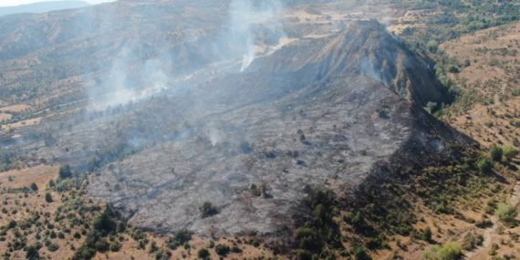 Ilgaz’da Korkutan Yangın
