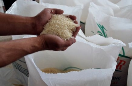 Pirinç üreticisinin bitmeyen çilesi