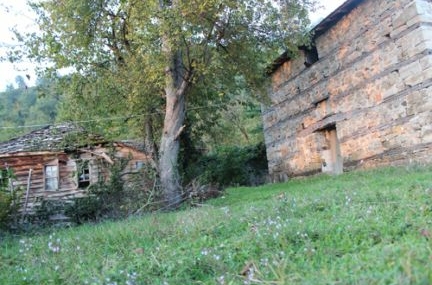 Tarih elden kayıyor!