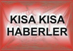 39753588