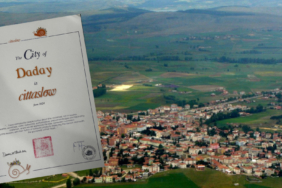 2sakin-şehir-daday