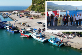 1balık1