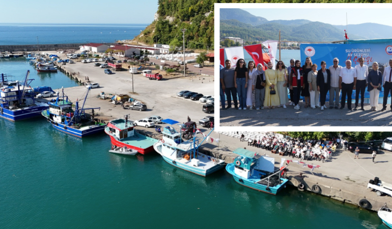 1balık1