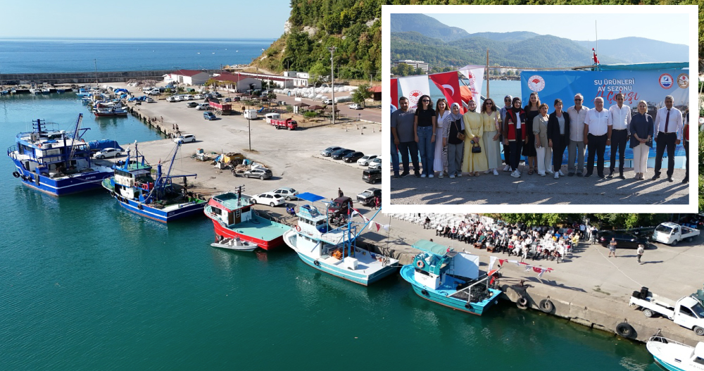 1balık1