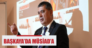 1başkaya