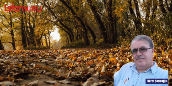 ORMAN DİP TEMİZLİĞİ KATMA DEĞERE DÖNÜŞÜR