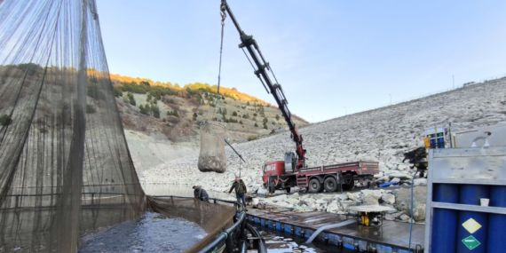 TÜRK SOMONUNA 650 TONLUK KATKI