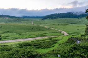 koruyaylasi12062026_pinarumayabi