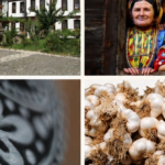 kastamonu12062026
